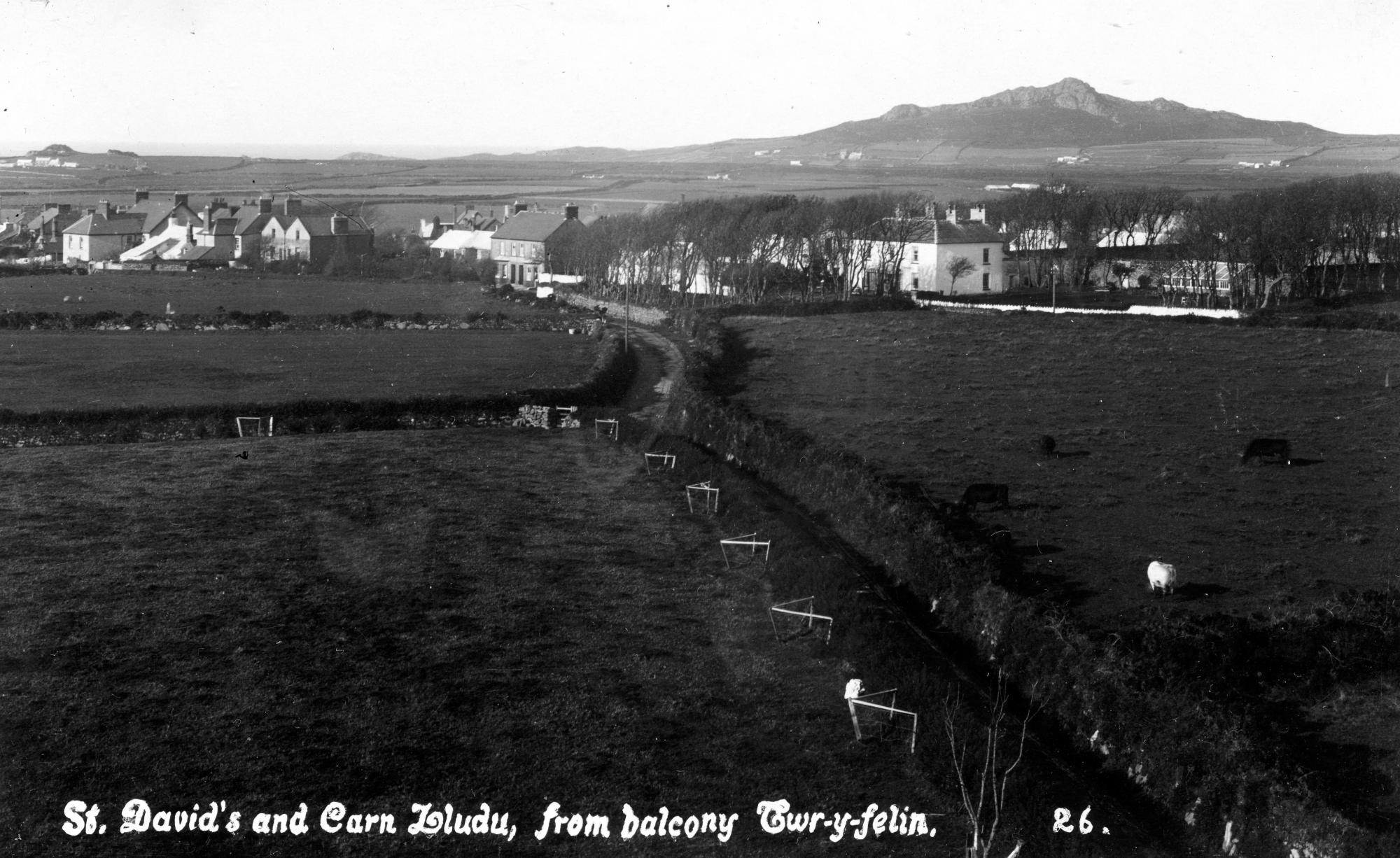 view from balcony view from balcony