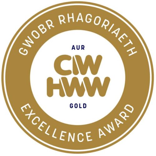 Healthy Working Wales Gold Award 2023