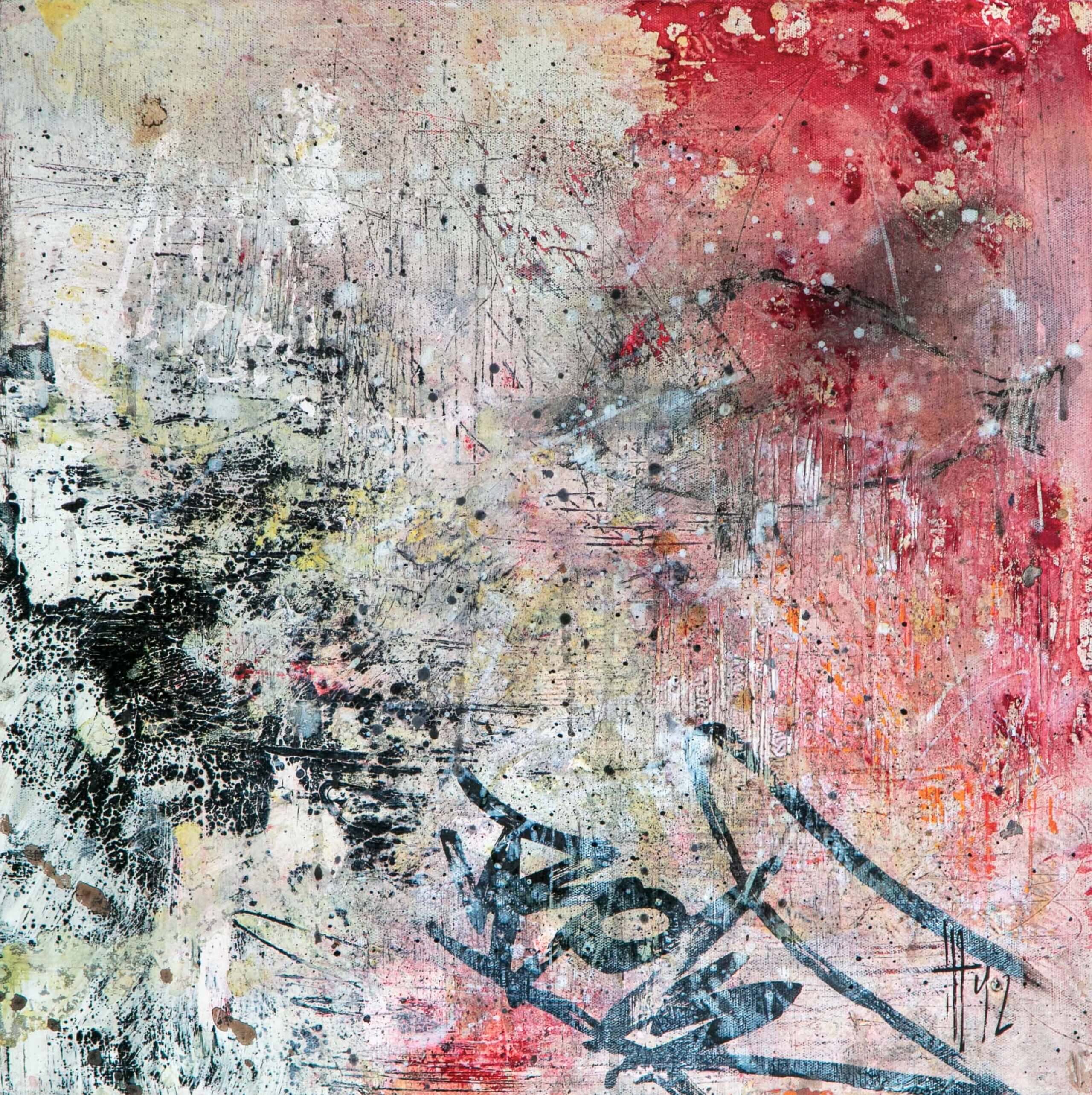 Darwin <span>by Holly Thoburn</span>