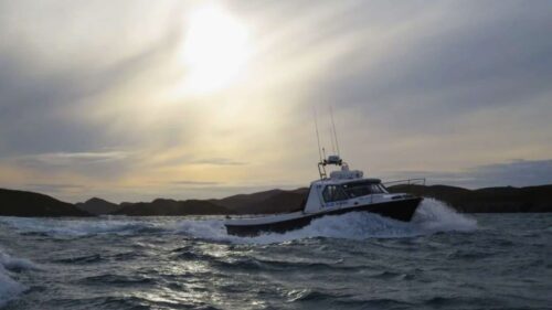 Fishing Experience Blue Shark Charters