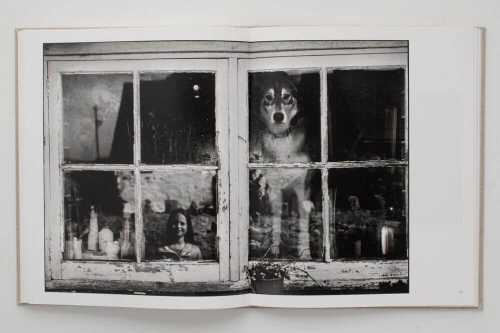 Dog in Window (Pebidiog)