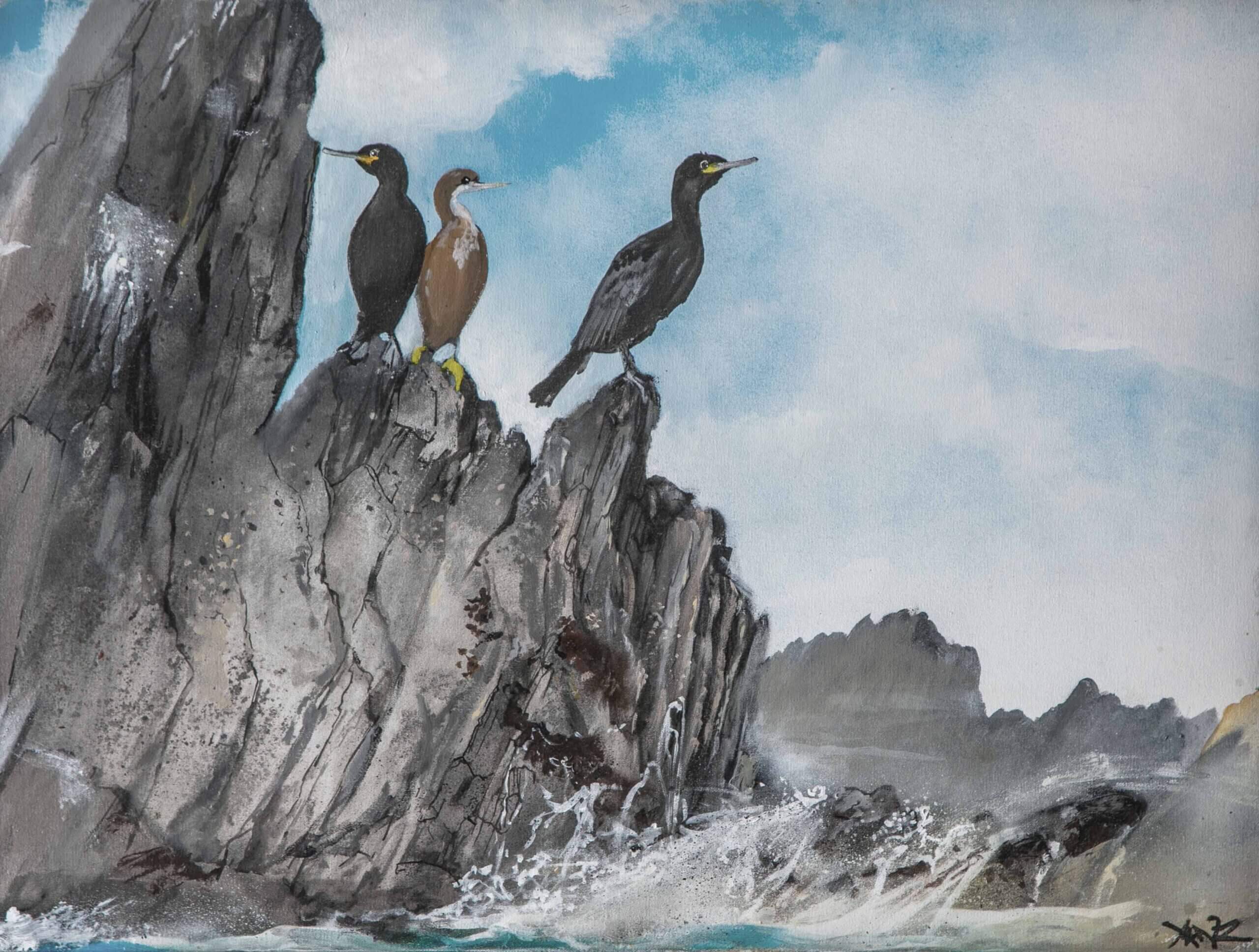 Shags <span>by Xenz</span>