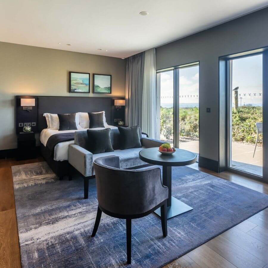 Accessible Room with Terrace