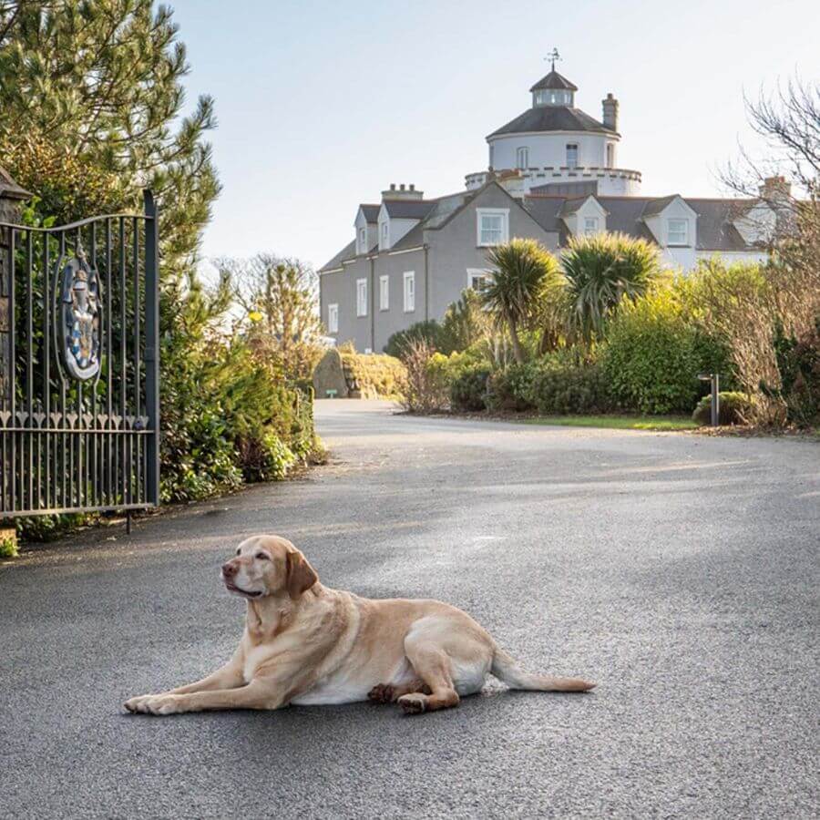 Twr y Felin Hotel, Dog Friendly
