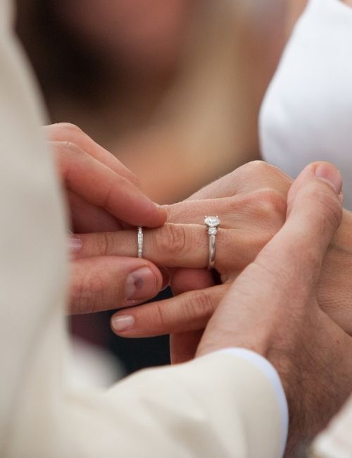 Perfect for your special occasions