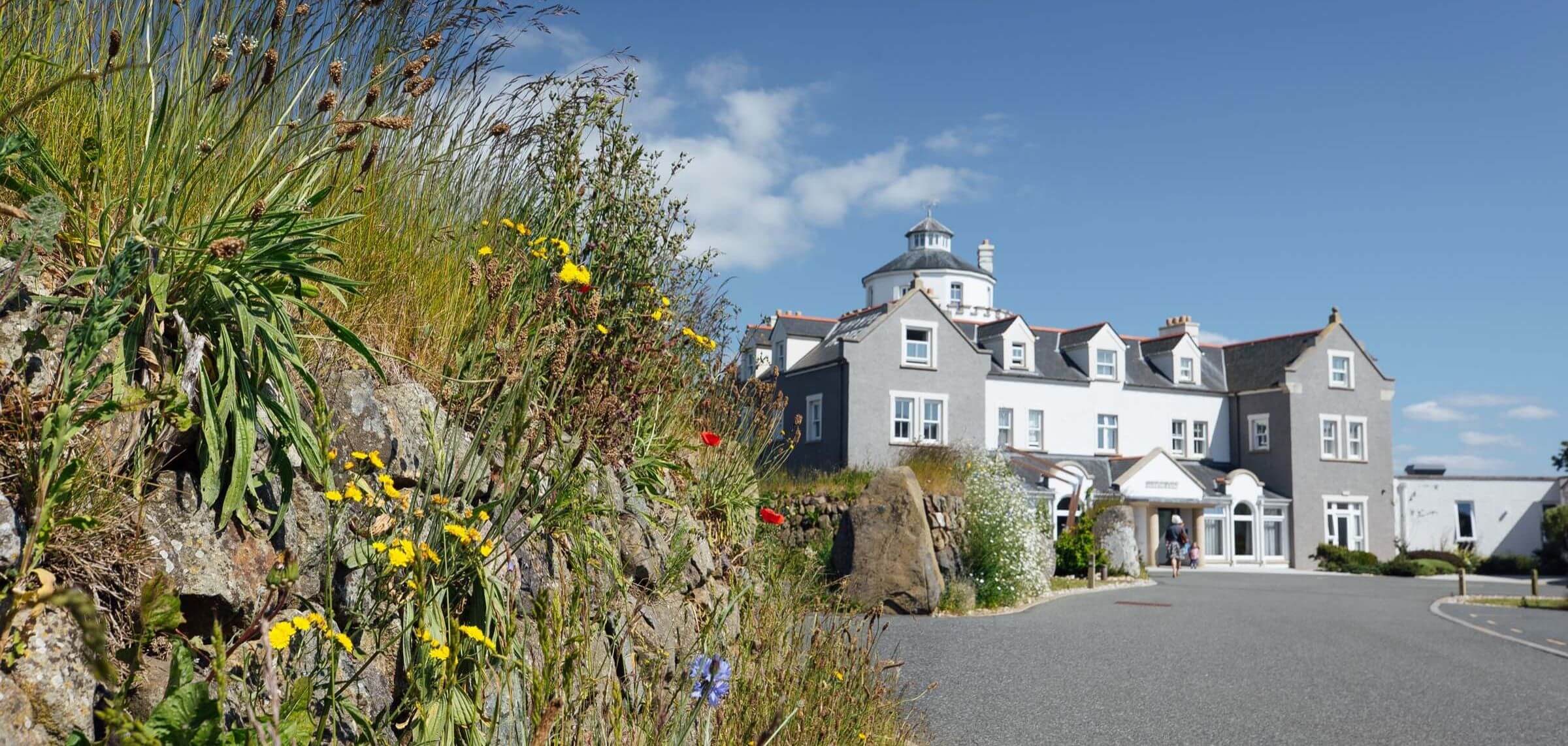 Twr y Felin Hotel, Pembrokeshire Hedge in Bloom