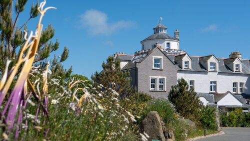 Hello Neighbour Offer