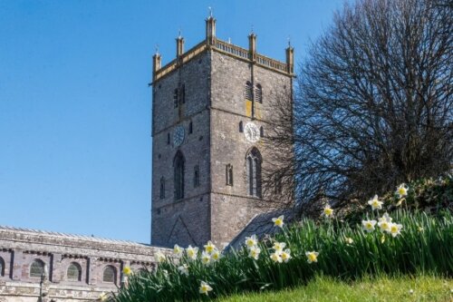Celebrate St David’s Day in St Davids