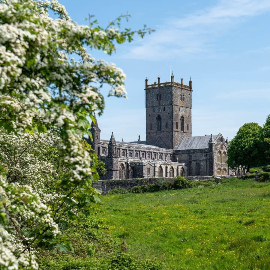 Visit St Davids Cathedral Iconic Welsh Landmark near Twr y Felin Hotel