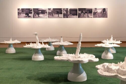 Helen Chadwick: Discover the Exhibition at Oriel y Parc